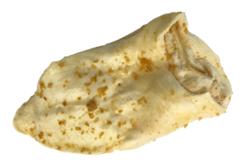 Cow Ear With Bully Sprinkles*