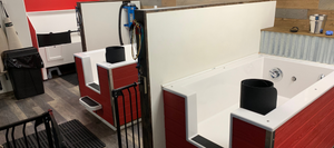 Three self wash stations inside of All About Paws.