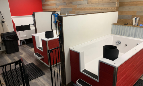 Three self wash stations inside of All About Paws.