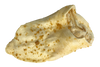 Cow Ear With Bully Sprinkles*