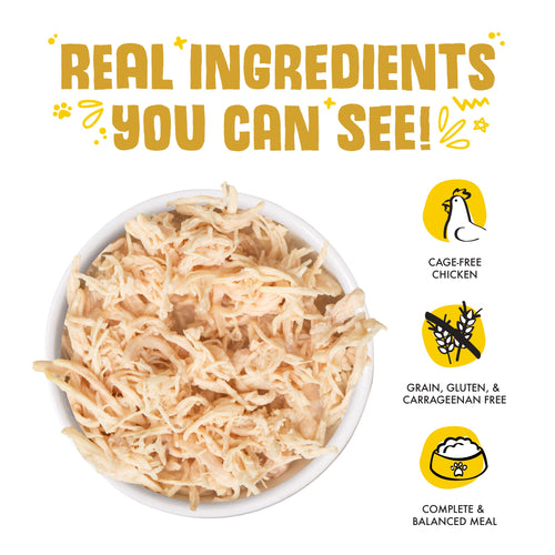 Weruva Paw Lickin’ Chicken Chicken Recipe in Gravy Canned Cat Food