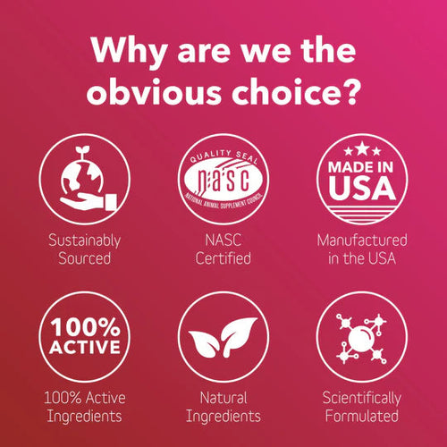 InClover Heart+ Supplement for Dogs + Cats (BioVibrant)