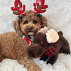 Tall Tails Animated Moose Dog Toy