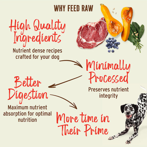 Primal Pet Foods Freeze-Dried Raw Nuggets Dog FoodDuck Recipe