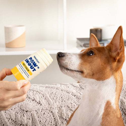 Vetericyn® Paw 'N Snout Pet Balm