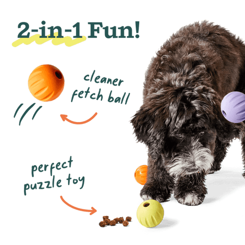 Woof Flyball Dog Toy