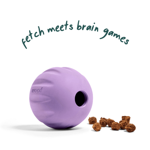 Woof Flyball Dog Toy