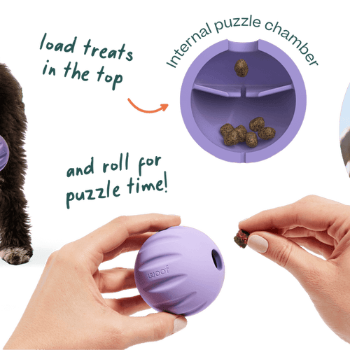 Woof Flyball Dog Toy