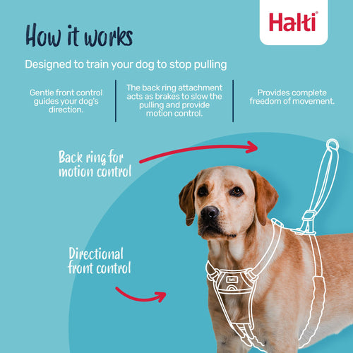 The Company of Animals Halti No Pull Dog Harness