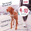 The Company of Animals Halti No Pull Dog Harness