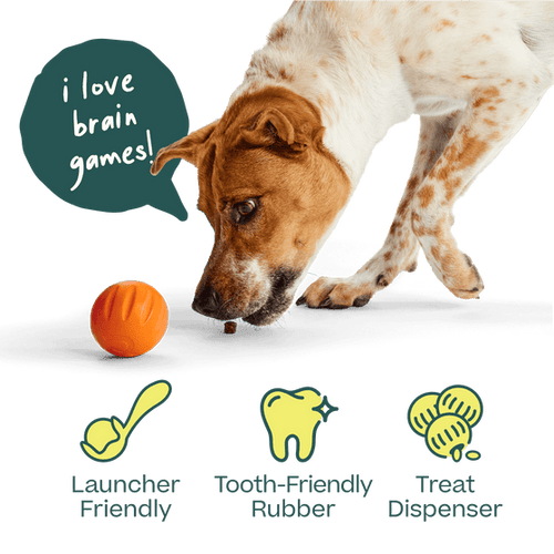 Woof Flyball 3 Pack Dog Toy